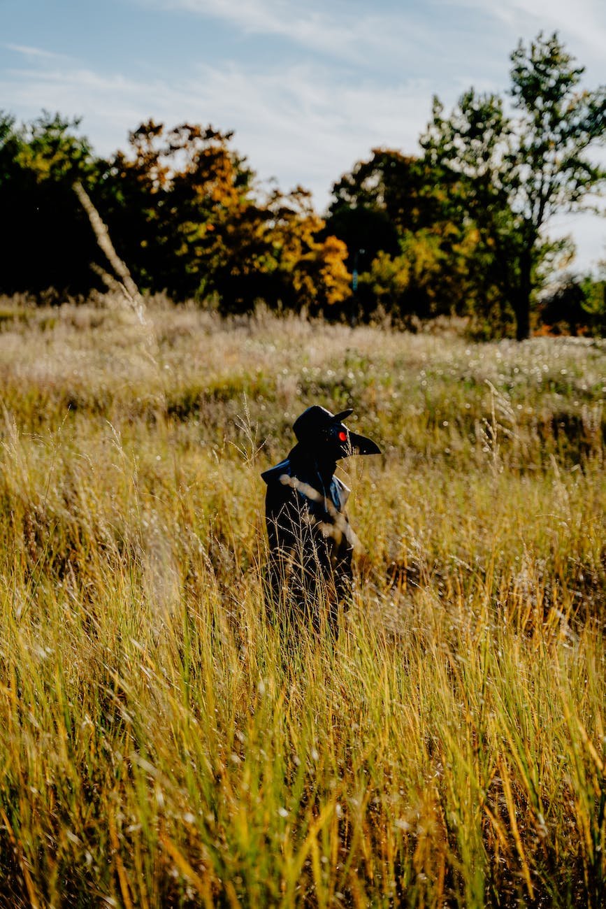 a person with a plague doctor mask in grass