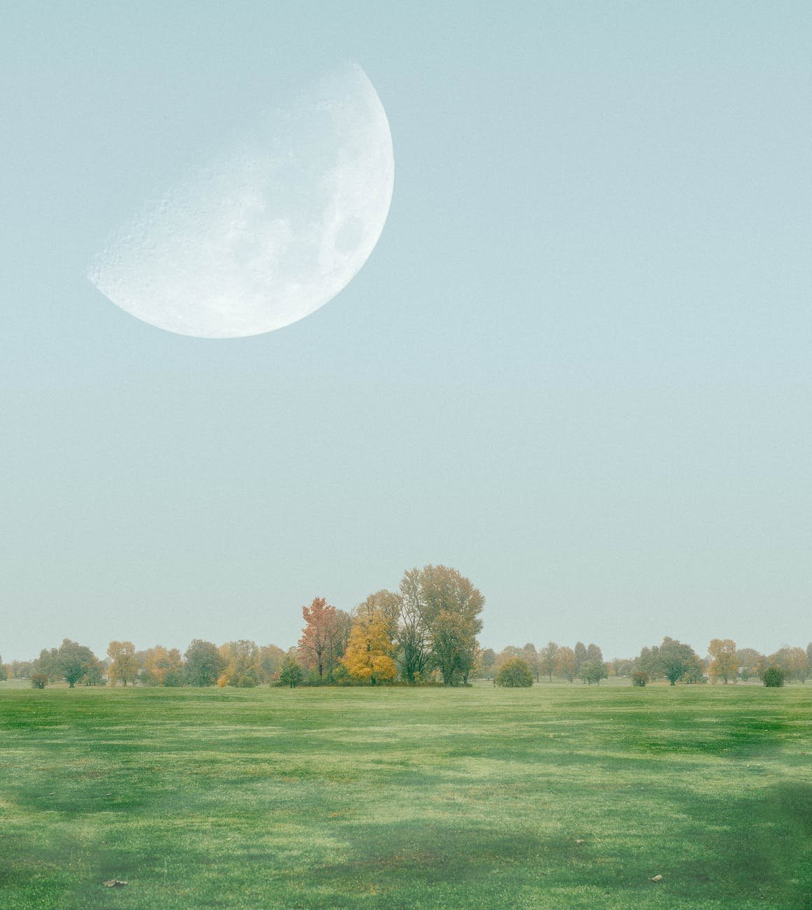 photo of half moon over grass field